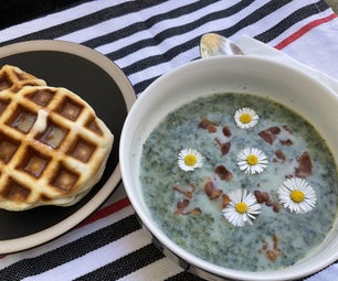 Foraged Nettle Soup With Biscuit Waffles