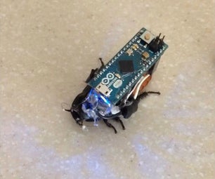 Control a Cockroach With Arduino for Under $30