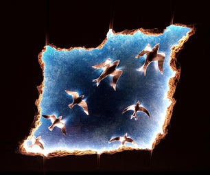 Ceiling Lighting: Illuminated Birds Seen Through a Fake Hole