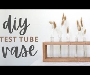 DIY Test Tube Vase