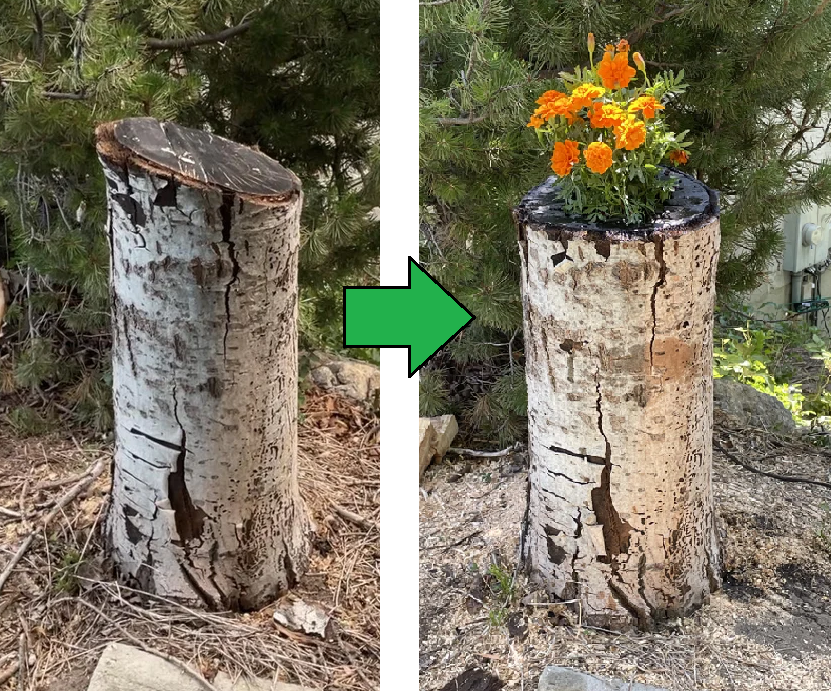 Transform a Tree Stump Into a Planter Box
