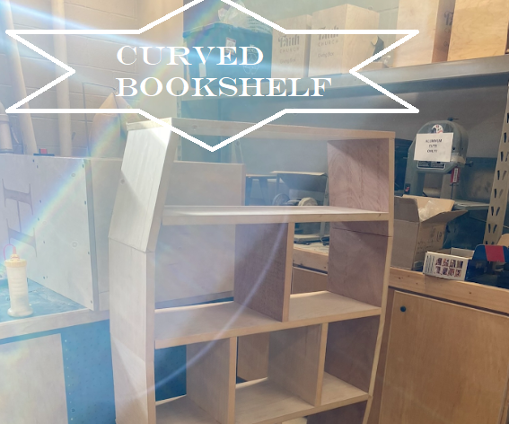 Custom Rounded Bookshelf