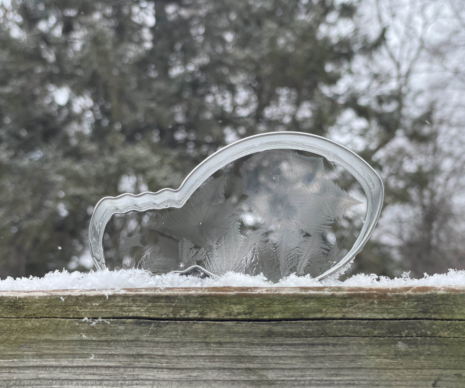 Cookie Cutter Ice Bubbles
