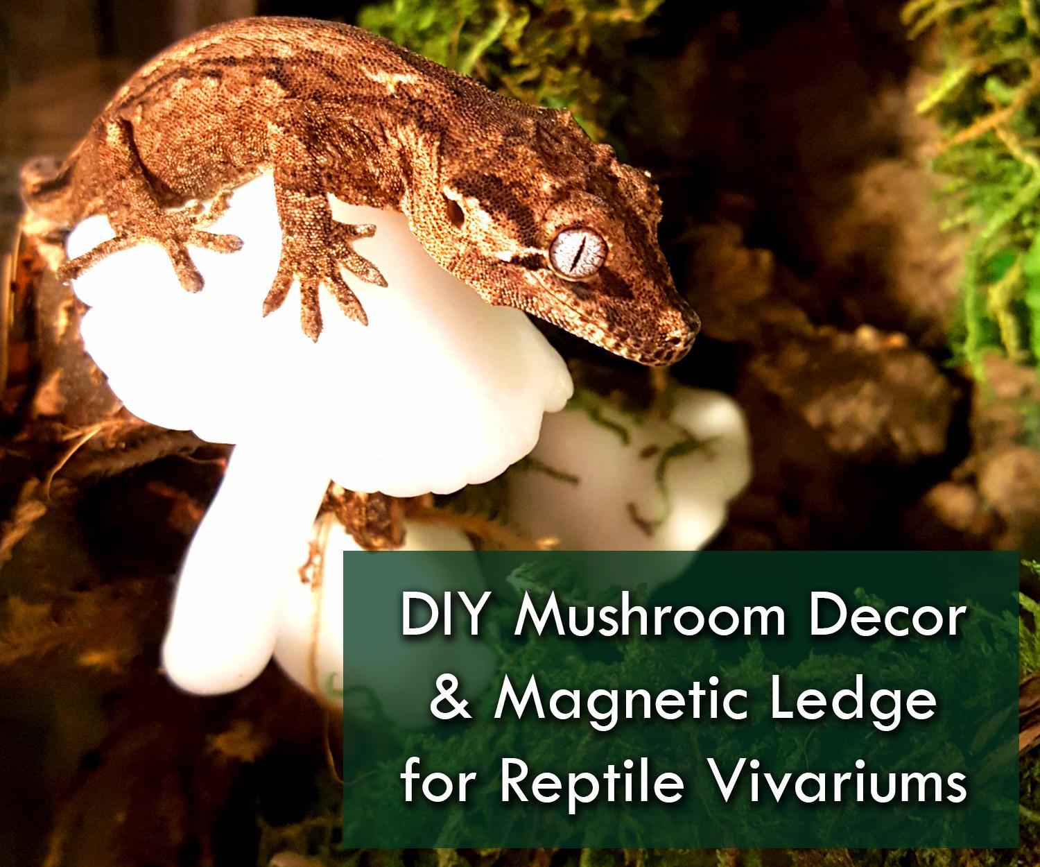 DIY Mushroom Ledges & Decor for Your Reptile Terrarium With Moldable Plastic