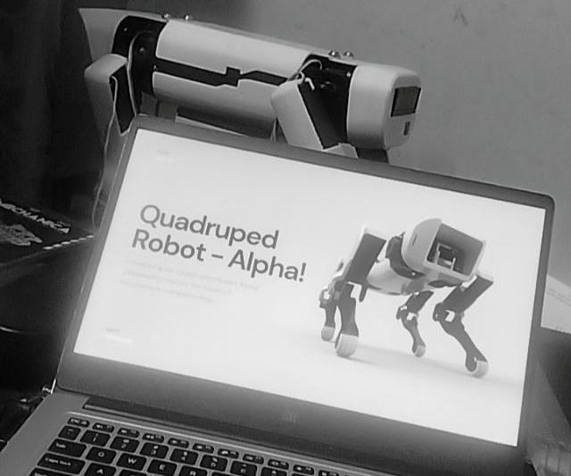 Quadruped Robot - Alpha! ESP32 Based Spot Micro Robot.
