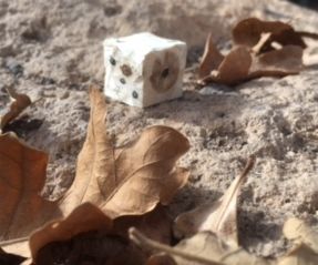Carving Dice (when in Hiding From Hangliding Cows)