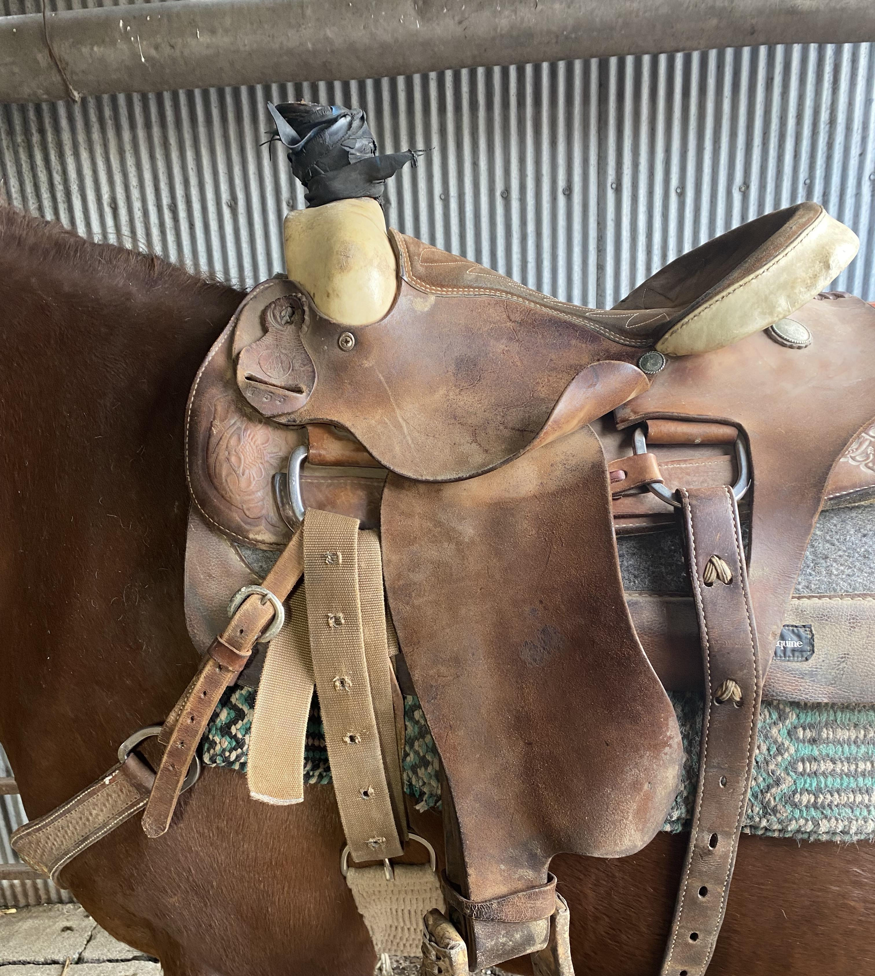 How to Prepare a Horse for Roping