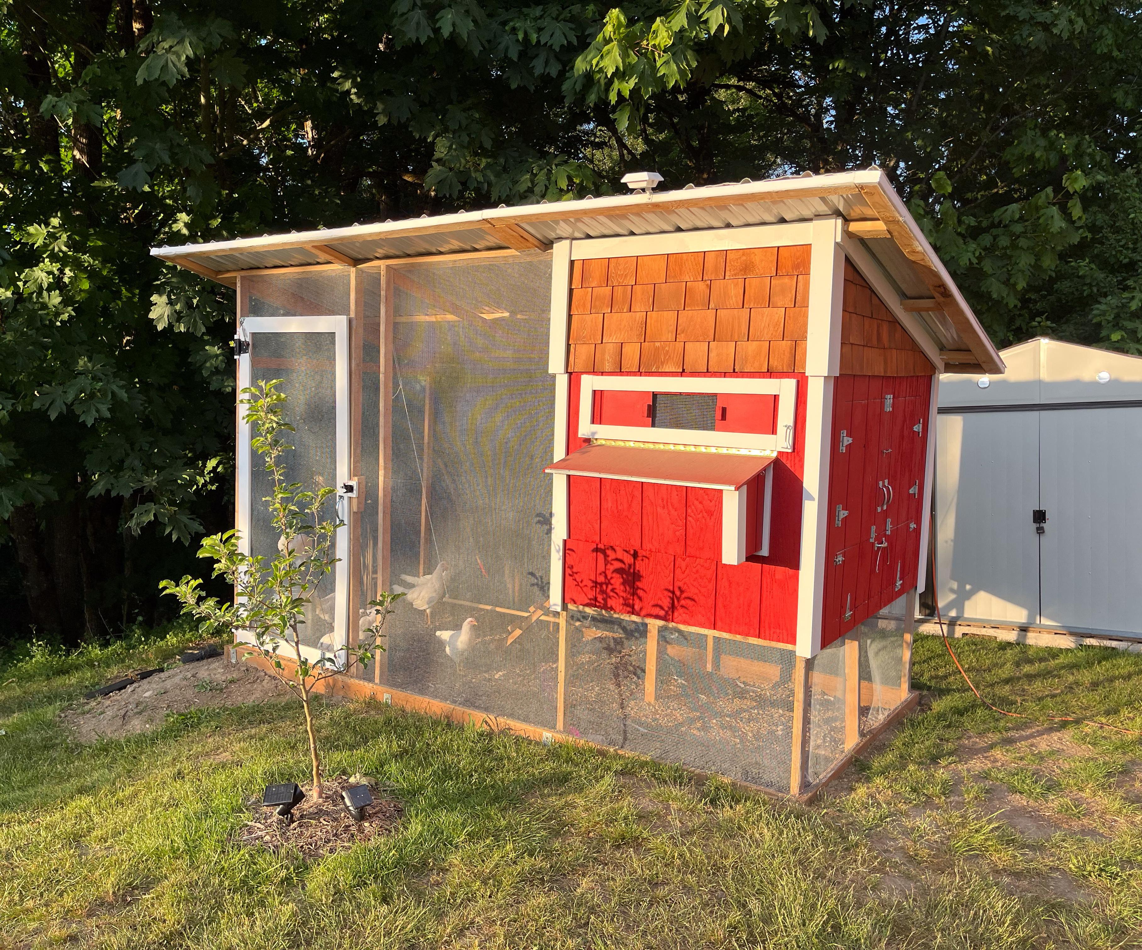 Build a DIY Chicken Palace