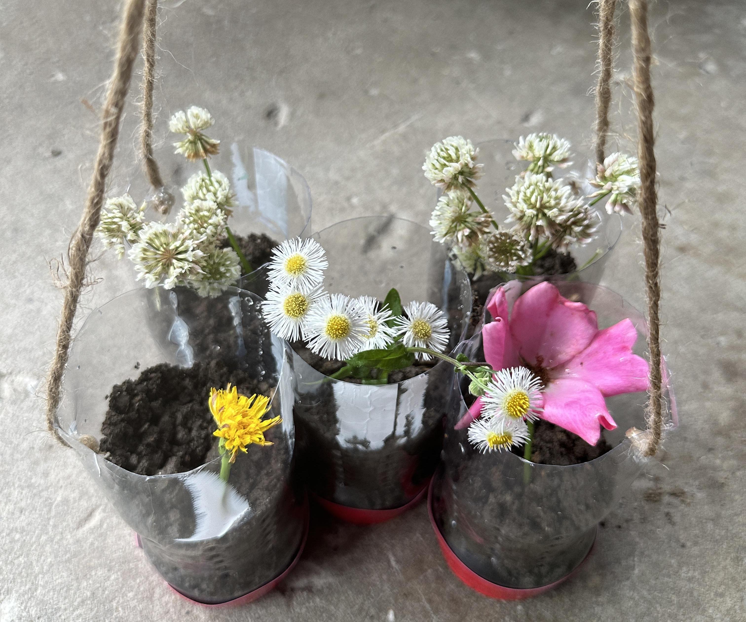 Flower Pots That Are Made From Recycled Cups and Bottles