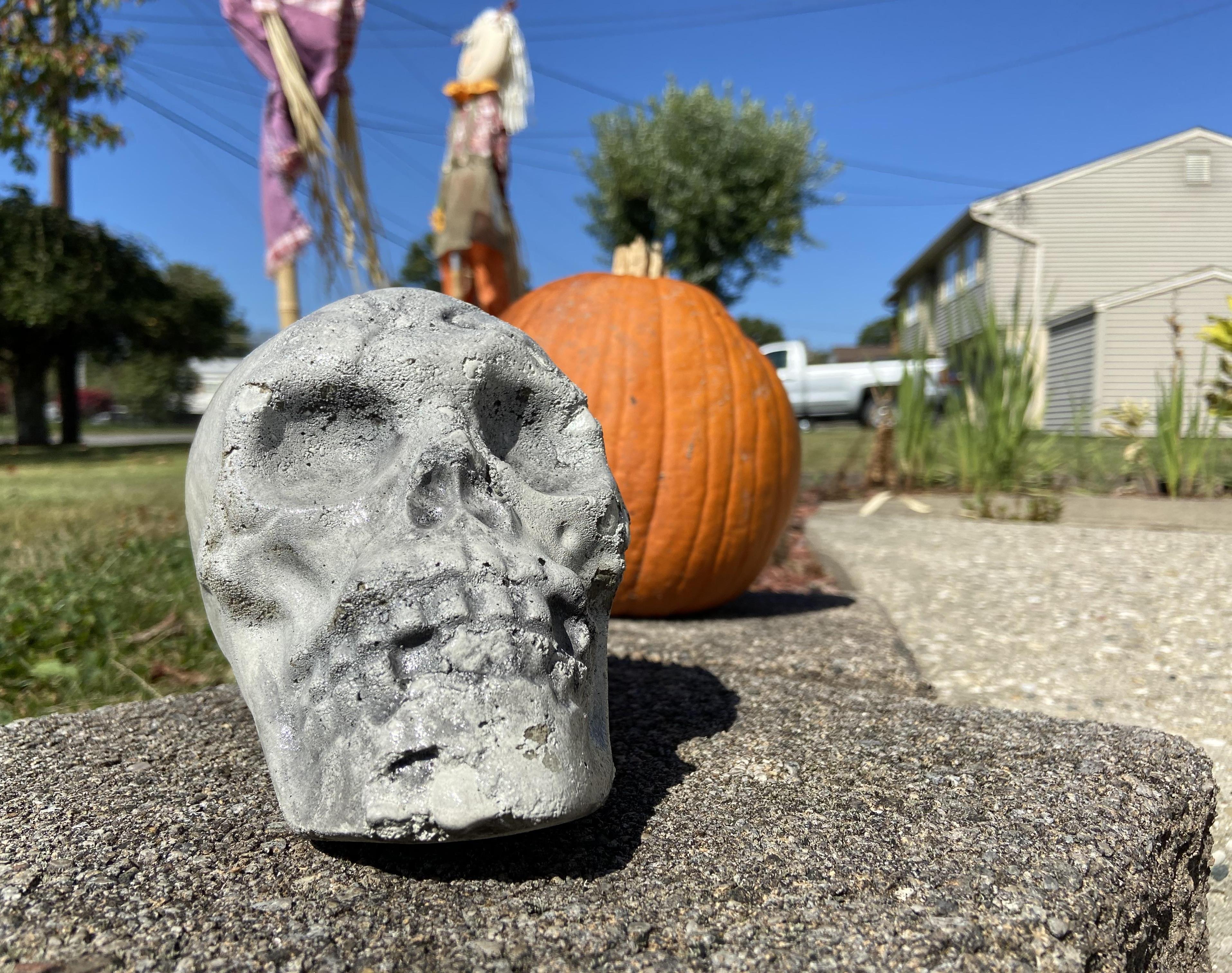 DIY Cement Skulls for Halloween