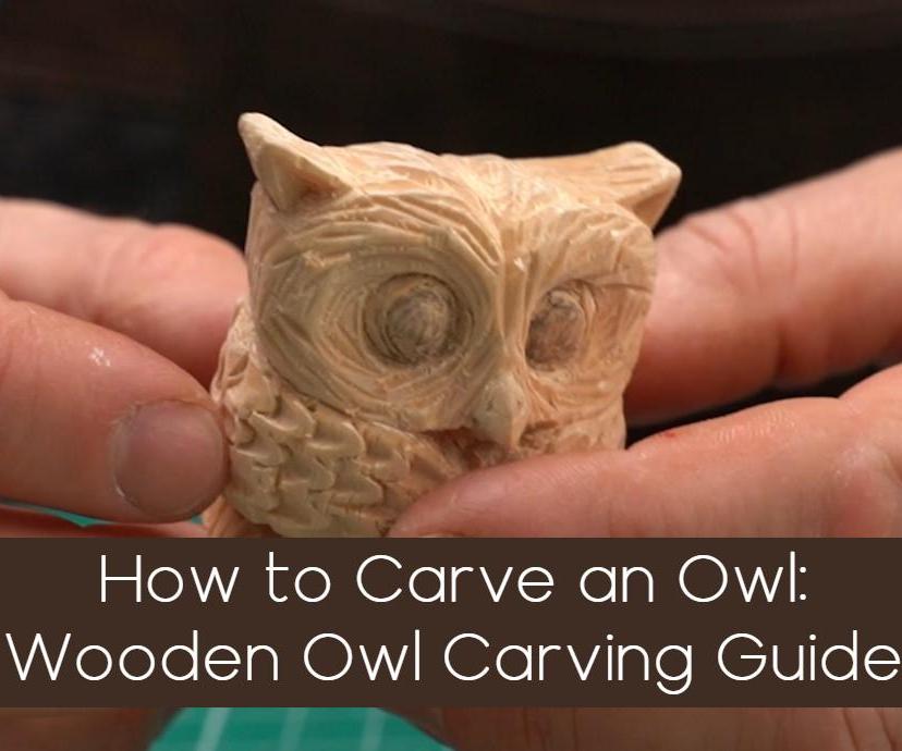 How to Carve an Owl: Wooden Owl Carving Guide