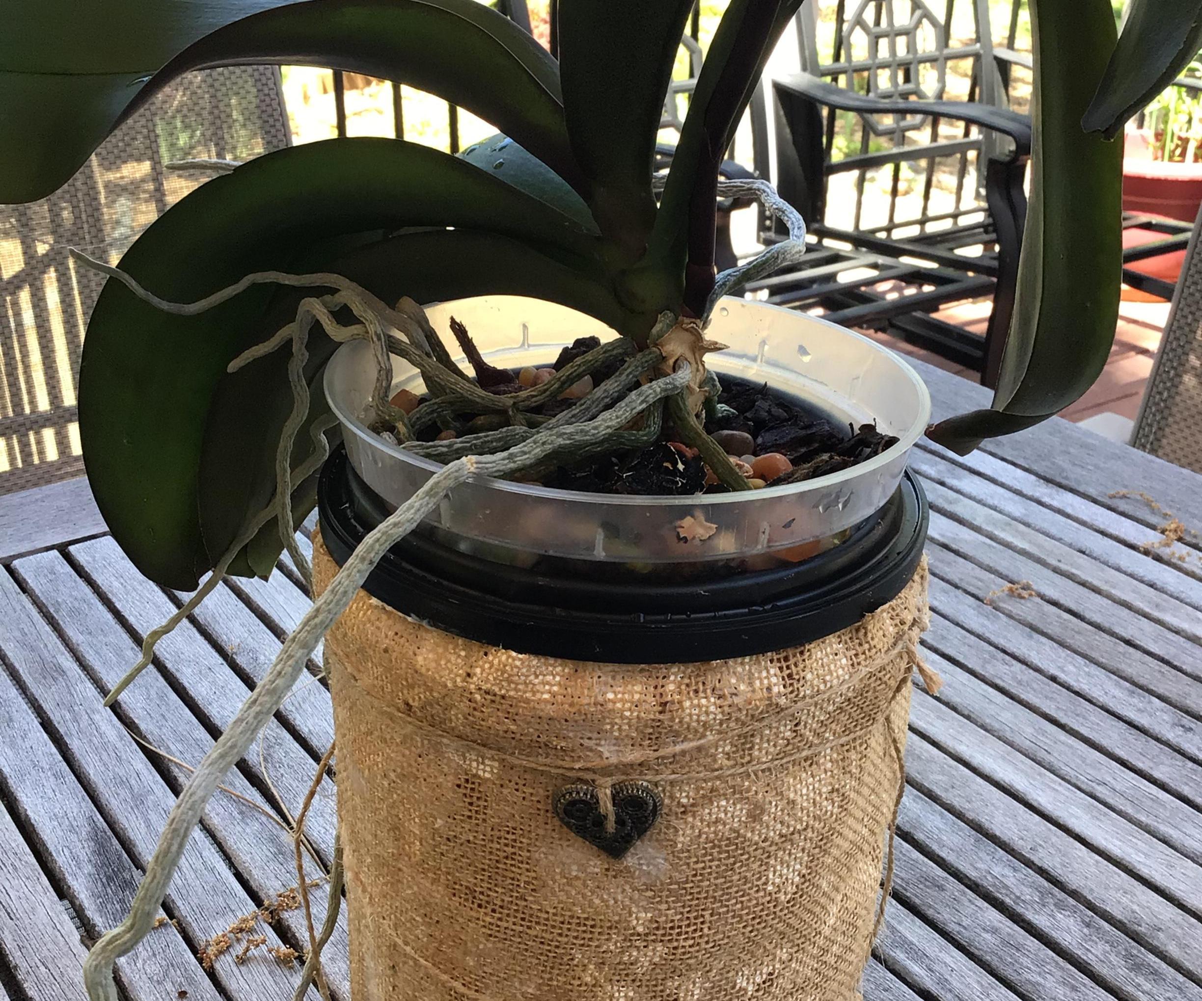 Upcycle Coffee Can for Orchid