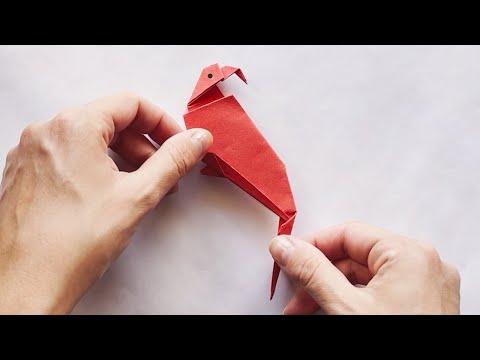 How to Fold an Origami Parrot