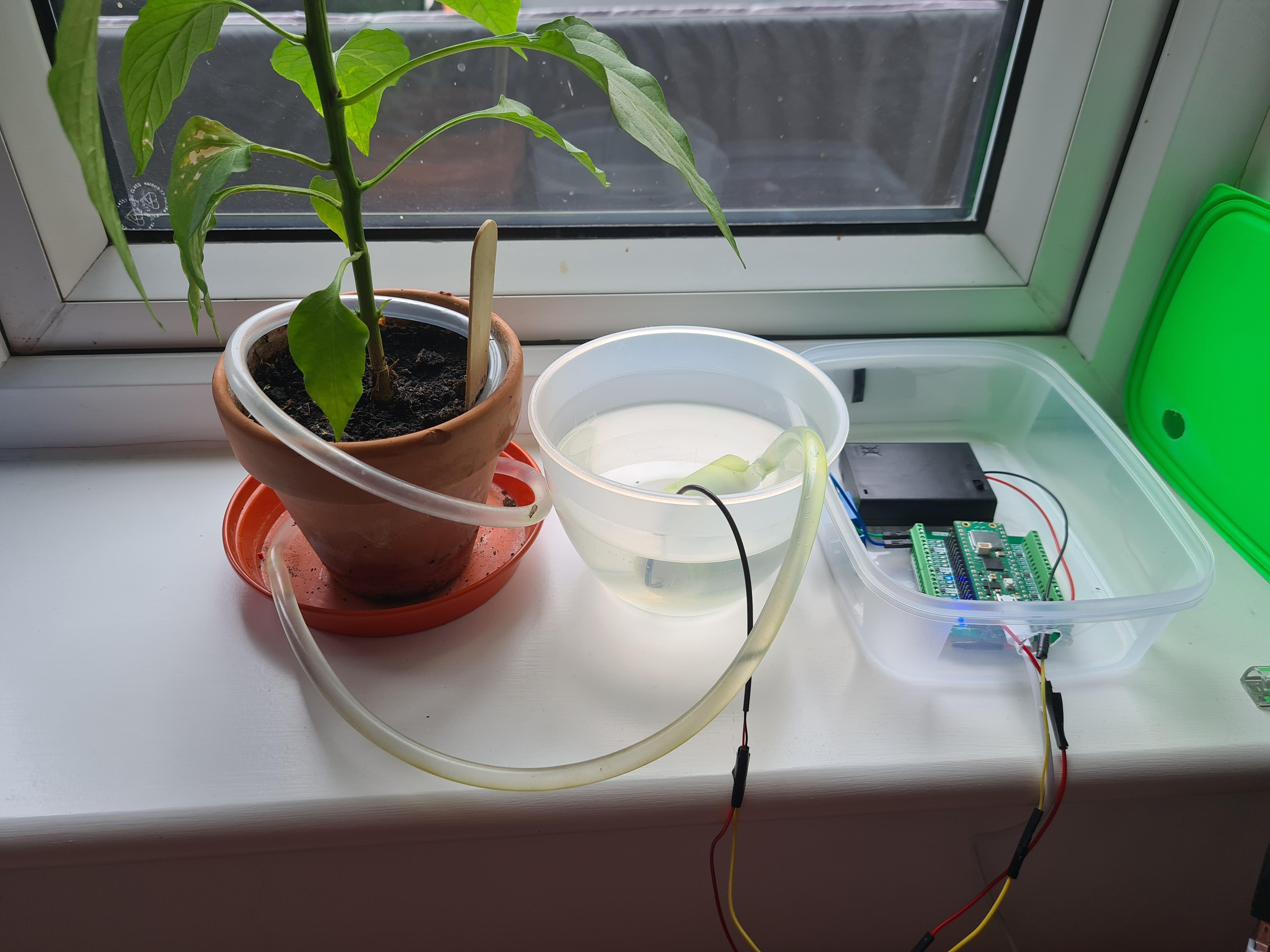 PlantyPi - Raspberry Pi Pico Plant Watering Device.