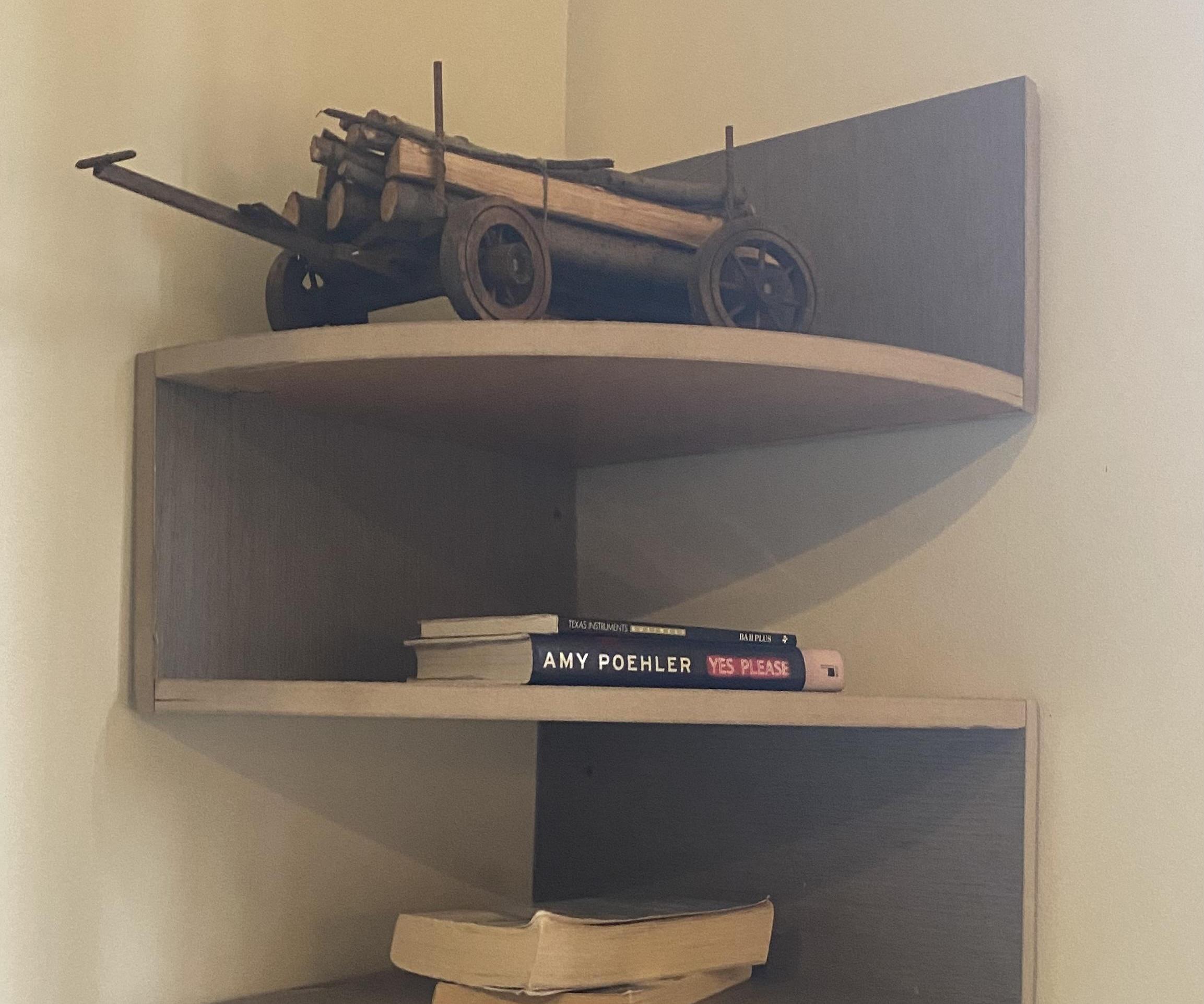Hanging Corner BookShelf