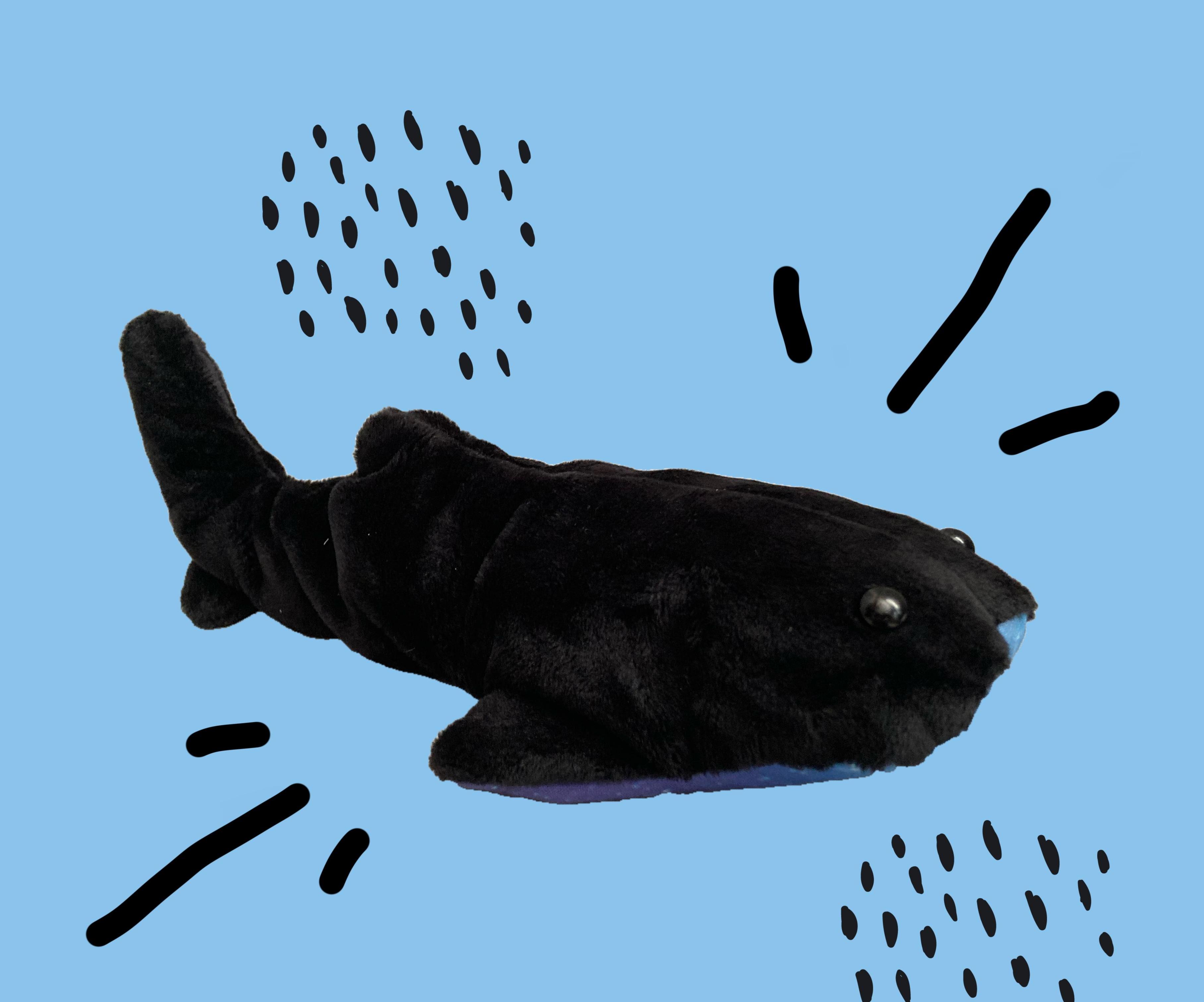 Easy Weighted Whale Shark Plushie