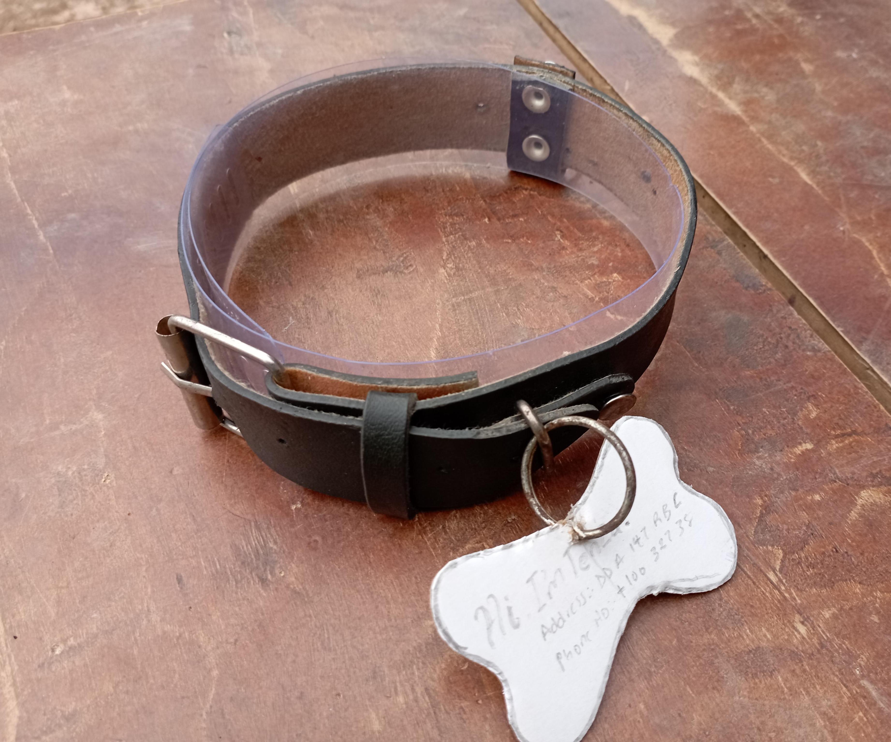 DIY Pet Collar: Homemade Leather Pet Collar From Old Belts.