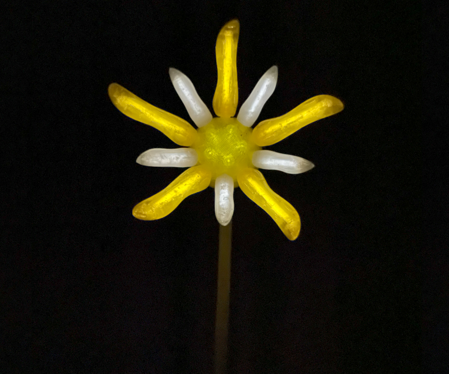 Night Blossom: the Radioactive Flower That Glows for 30+ Years