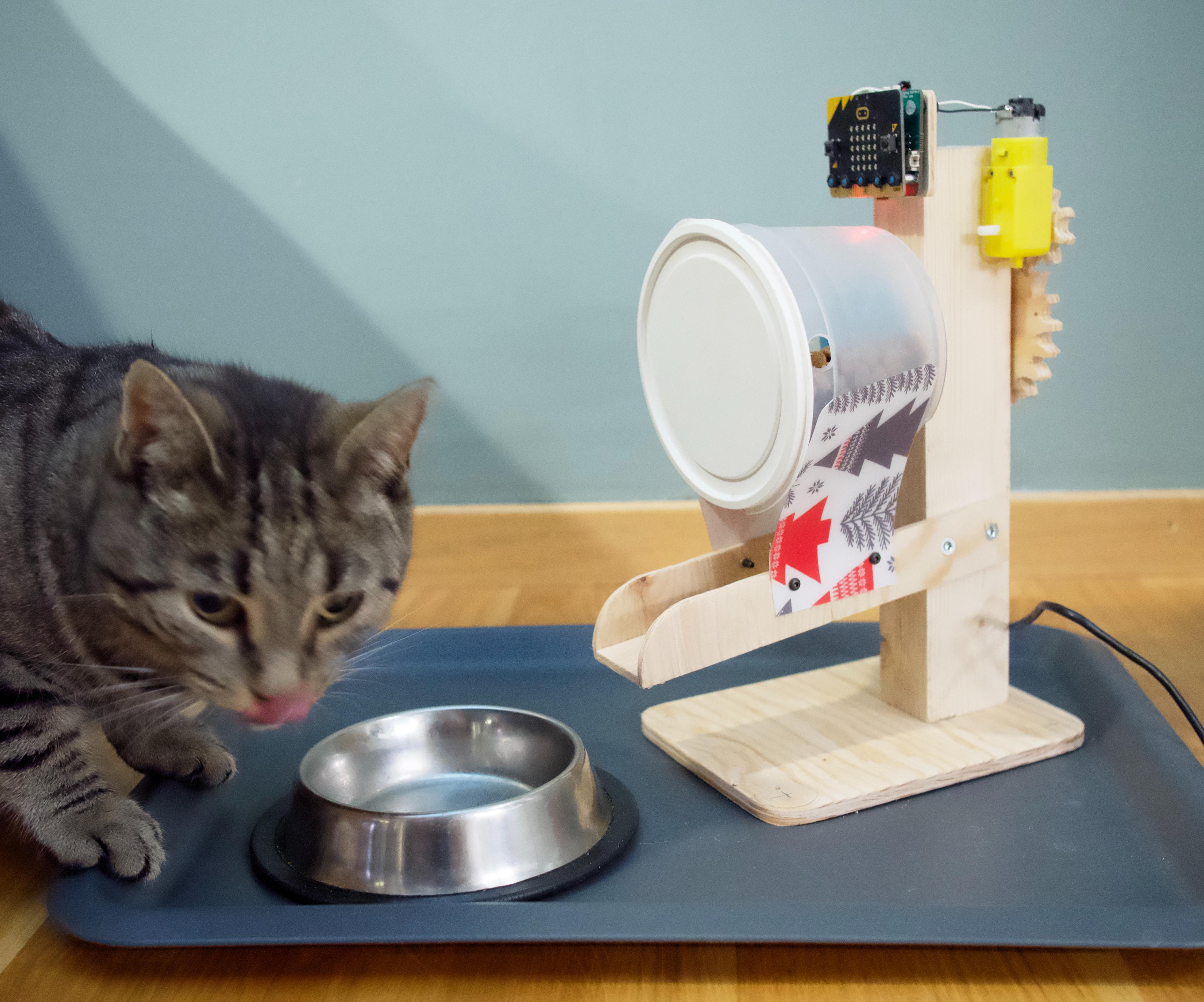 Simple and Reliable Cat Feeder With Block Programming
