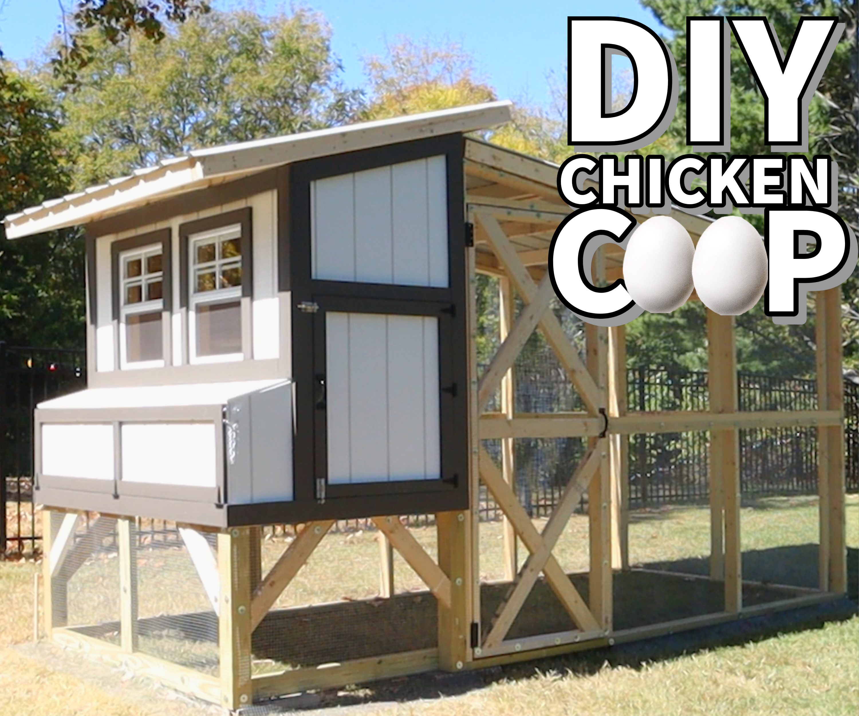 Deluxe Backyard Chicken Coop